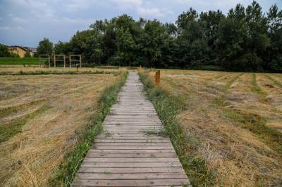 Aktywiści protestowali przeciwko budowie, powstała piękna trasa rowerowa w Krakowie - zdjęcie 28
