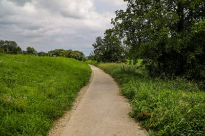 Aktywiści protestowali przeciwko budowie, powstała piękna trasa rowerowa w Krakowie - zdjęcie 25