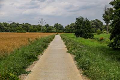 Aktywiści protestowali przeciwko budowie, powstała piękna trasa rowerowa w Krakowie - zdjęcie 26