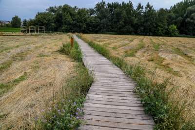 Aktywiści protestowali przeciwko budowie, powstała piękna trasa rowerowa w Krakowie - zdjęcie 27