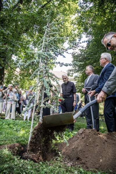 Ks. Adam Boniecki zasadził na Plantach swój prezent. Wyjątkowy cedr - zdjęcie 14