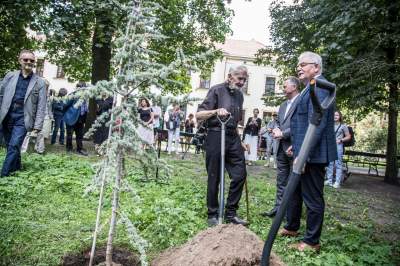 Ks. Adam Boniecki zasadził na Plantach swój prezent. Wyjątkowy cedr - zdjęcie 9