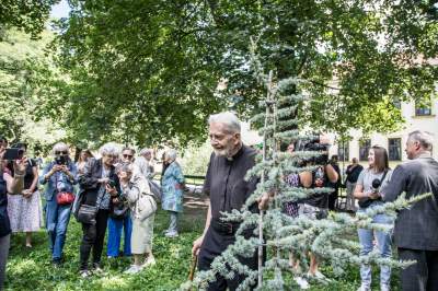 Ks. Adam Boniecki zasadził na Plantach swój prezent. Wyjątkowy cedr - zdjęcie 17
