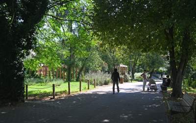 Najdłuższy park w Polsce: Krakowianie pokochali to miejsce - zdjęcie 3