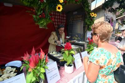 Festiwal Pierogów w Krakowie: ceny poszły w górę - zdjęcie 12