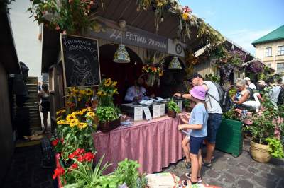 Festiwal Pierogów w Krakowie: ceny poszły w górę - zdjęcie 16