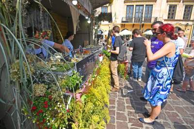 Festiwal Pierogów w Krakowie: ceny poszły w górę - zdjęcie 29