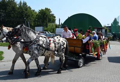 Krakowskie, sierpniowe klimaty. Barwny korowód z Bronowic - zdjęcie 2