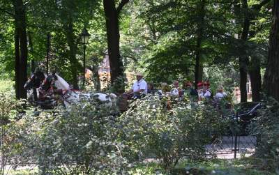 Krakowskie, sierpniowe klimaty. Barwny korowód z Bronowic - zdjęcie 13