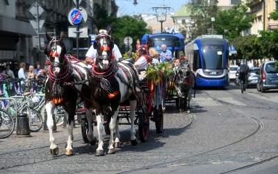 Krakowskie, sierpniowe klimaty. Barwny korowód z Bronowic - zdjęcie 7