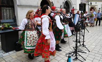 Krakowskie, sierpniowe klimaty. Barwny korowód z Bronowic - zdjęcie 27