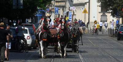Krakowskie, sierpniowe klimaty. Barwny korowód z Bronowic - zdjęcie 6