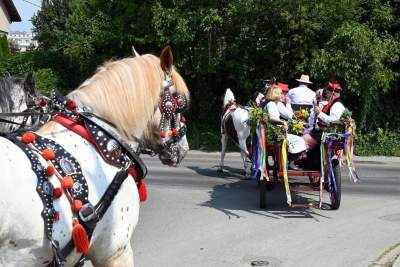 Krakowskie, sierpniowe klimaty. Barwny korowód z Bronowic - zdjęcie 4