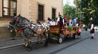 Krakowskie, sierpniowe klimaty. Barwny korowód z Bronowic - zdjęcie 15