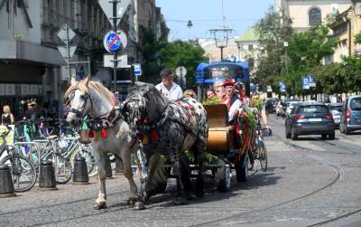 Krakowskie, sierpniowe klimaty. Barwny korowód z Bronowic - zdjęcie 8