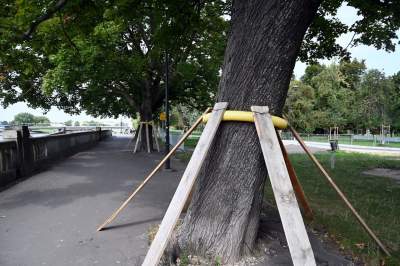 Aktywiści zgrzytają zębami, ale budowa kładki na Ludwinów idzie pełną parą - zdjęcie 19