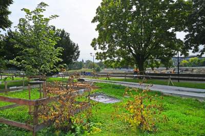 Aktywiści zgrzytają zębami, ale budowa kładki na Ludwinów idzie pełną parą - zdjęcie 21
