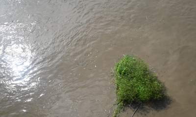 Fala kulminacyjna w Krakowie: Wisła przy pięknej pogodzie zalewa bulwary - zdjęcie 23