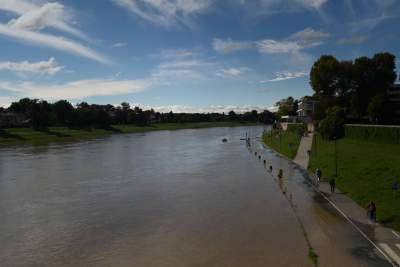 Fala kulminacyjna w Krakowie: Wisła przy pięknej pogodzie zalewa bulwary - zdjęcie 5