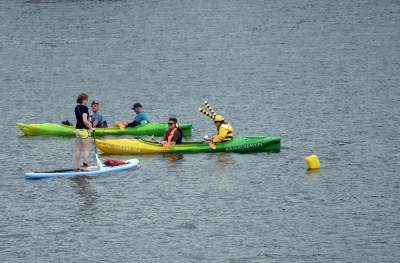 Popieramy te żądania! Jedna z najsympatyczniejszych akcji w Krakowie - zdjęcie 46