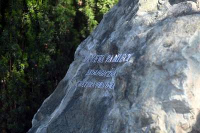 „Drzewa pamięci”: pierwsza w Krakowie ekologiczna kwatera cmentarna - zdjęcie 5