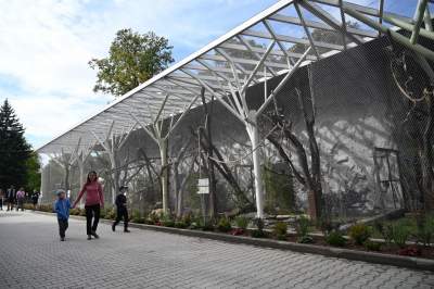 Oto nowa ptaszarnia w krakowskim ZOO, czy ptaki mogą tu czuć się szczęśliwe? - zdjęcie 26