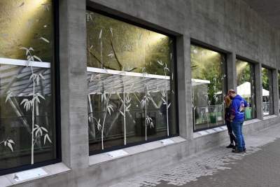 Oto nowa ptaszarnia w krakowskim ZOO, czy ptaki mogą tu czuć się szczęśliwe? - zdjęcie 4