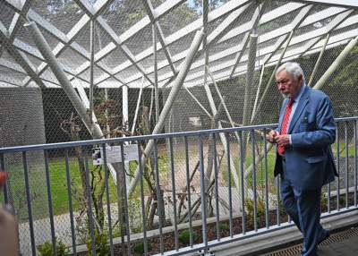 Oto nowa ptaszarnia w krakowskim ZOO, czy ptaki mogą tu czuć się szczęśliwe? - zdjęcie 30