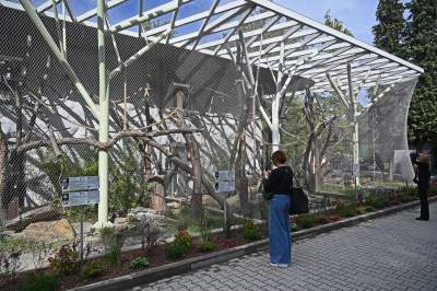 Oto nowa ptaszarnia w krakowskim ZOO, czy ptaki mogą tu czuć się szczęśliwe? - zdjęcie 13