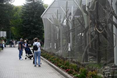 Oto nowa ptaszarnia w krakowskim ZOO, czy ptaki mogą tu czuć się szczęśliwe? - zdjęcie 35