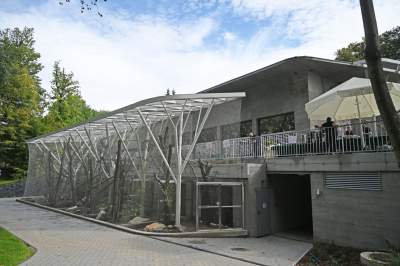 Oto nowa ptaszarnia w krakowskim ZOO, czy ptaki mogą tu czuć się szczęśliwe? - zdjęcie 17