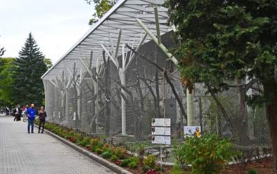 Oto nowa ptaszarnia w krakowskim ZOO, czy ptaki mogą tu czuć się szczęśliwe? - zdjęcie 1