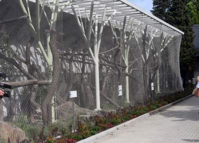 Oto nowa ptaszarnia w krakowskim ZOO, czy ptaki mogą tu czuć się szczęśliwe? - zdjęcie 12