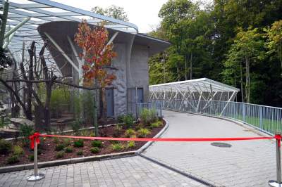 Oto nowa ptaszarnia w krakowskim ZOO, czy ptaki mogą tu czuć się szczęśliwe? - zdjęcie 28