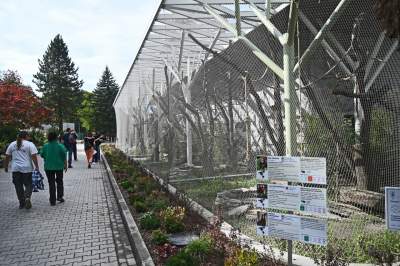 Oto nowa ptaszarnia w krakowskim ZOO, czy ptaki mogą tu czuć się szczęśliwe? - zdjęcie 14