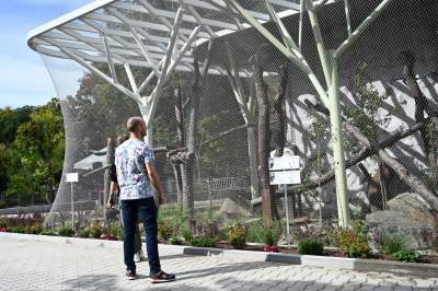 Oto nowa ptaszarnia w krakowskim ZOO, czy ptaki mogą tu czuć się szczęśliwe? - zdjęcie 11