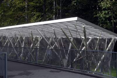 Oto nowa ptaszarnia w krakowskim ZOO, czy ptaki mogą tu czuć się szczęśliwe? - zdjęcie 15