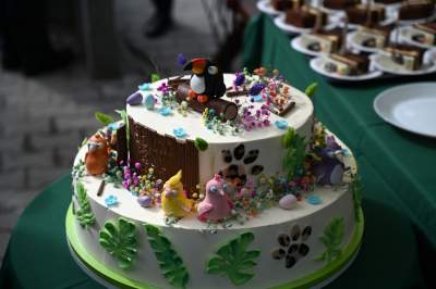 Oto nowa ptaszarnia w krakowskim ZOO, czy ptaki mogą tu czuć się szczęśliwe? - zdjęcie 33