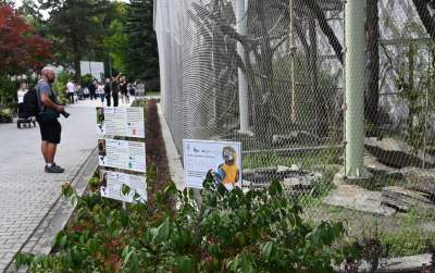 Oto nowa ptaszarnia w krakowskim ZOO, czy ptaki mogą tu czuć się szczęśliwe? - zdjęcie 3