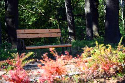 Rewelacyjna zmiana wokół Kopca Kościuszki. Prace trwały 10 lat - zdjęcie 9