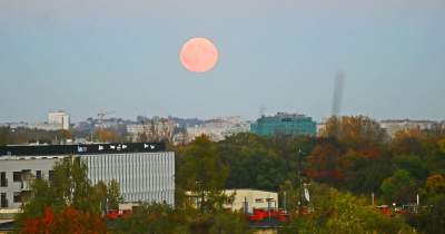 Krwawy Księżyc nad Krakowem. Wydawał się większy i jaśniejszy niż zazwyczaj - zdjęcie 4
