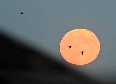 Krwawy Księżyc nad Krakowem. Wydawał się większy i jaśniejszy niż zazwyczaj - zdjęcie 8