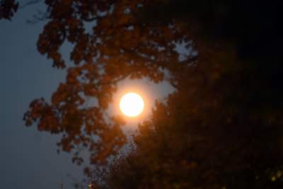 Krwawy Księżyc nad Krakowem. Wydawał się większy i jaśniejszy niż zazwyczaj - zdjęcie 11