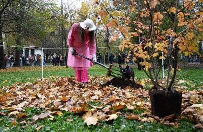 Żywy Róż – odtworzenie performensu Marii Pinińskiej-Bereś - zdjęcie 13
