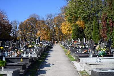 Krakowskie cmentarze: zabytkowe, nowoczesne, zaskakujące - zdjęcie 56