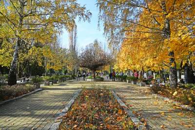Krakowskie cmentarze: zabytkowe, nowoczesne, zaskakujące - zdjęcie 27