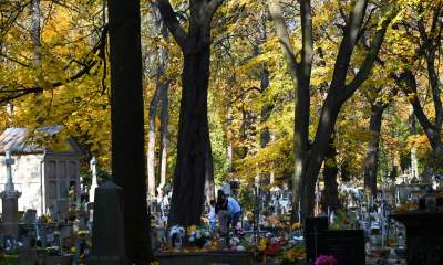 Krakowskie cmentarze: zabytkowe, nowoczesne, zaskakujące - zdjęcie 35