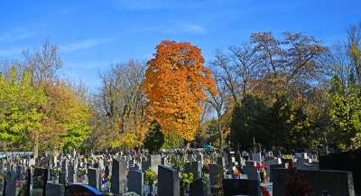 Krakowskie cmentarze: zabytkowe, nowoczesne, zaskakujące - zdjęcie 26