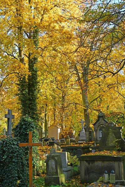 Krakowskie cmentarze: zabytkowe, nowoczesne, zaskakujące - zdjęcie 23