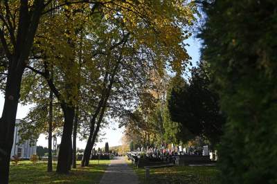 Krakowskie cmentarze: zabytkowe, nowoczesne, zaskakujące - zdjęcie 50